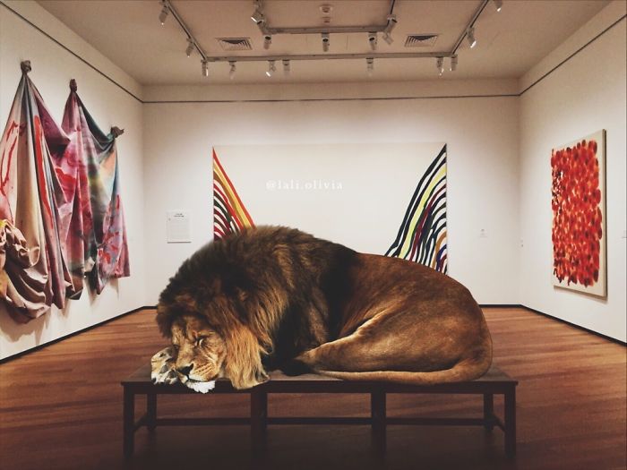 Photo Manipulation For Anxiety