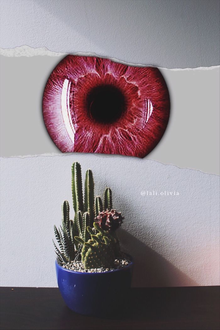 Photo Manipulation For Anxiety