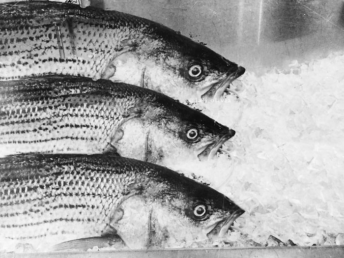 Photo Manipulation For Anxiety Photo Manipulation For Anxiety