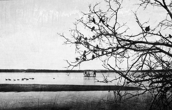 Photo Manipulation For Anxiety Photo Manipulation For Anxiety