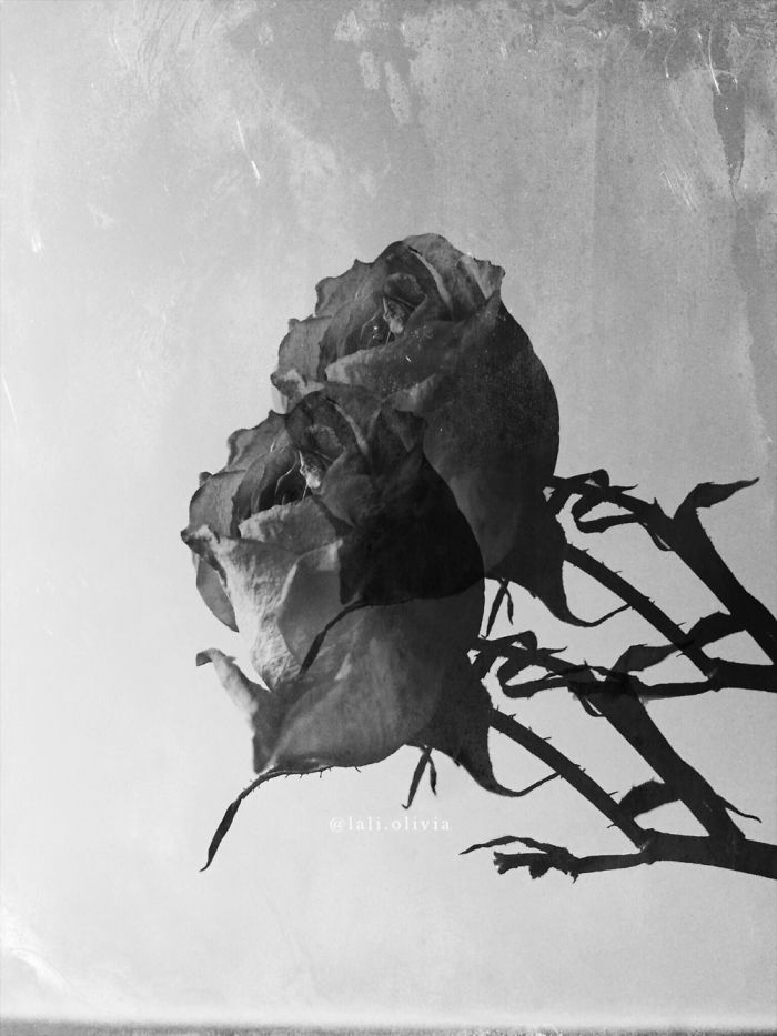 Photo Manipulation For Anxiety Photo Manipulation For Anxiety