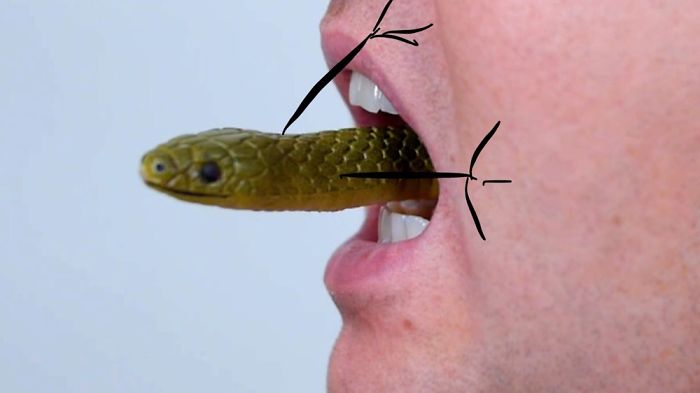 #21 You Shall Never Take Me.... Alive!