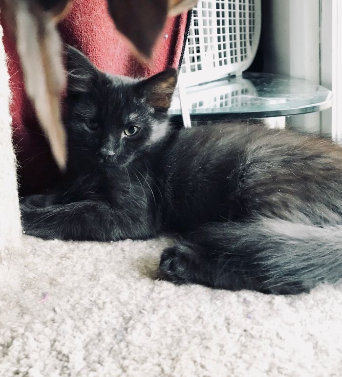 Happiness Back In My Life