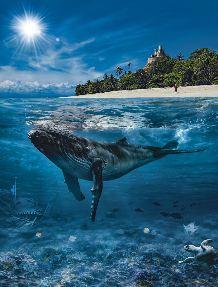 I Create Photographic Children's Books With My Family And Friends