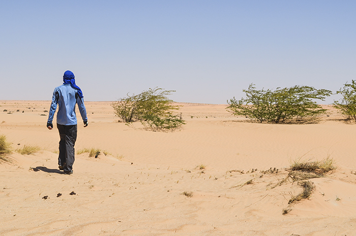 The Rule Of Three - Getting Lost In The Desert