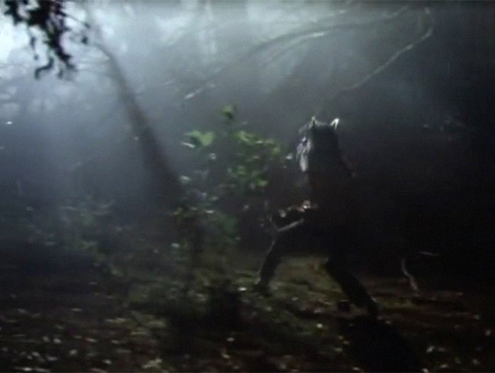 Twitter Is Laughing Out Loud At The Way Michael Jackson's "Thriller" Looked From The Girl's Perspective Twitter Is Laughing Out Loud At The Way Michael Jackson's "Thriller" Looked From The Girl's Perspective