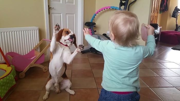 Dogs Are More Than Pets, They Are Family