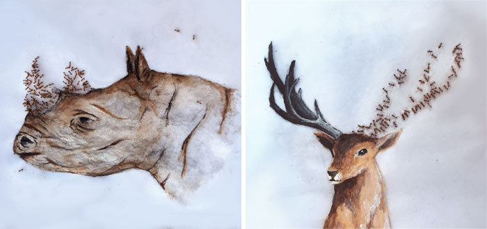 I ‘Pay’ Ants In Sugar To Help Me Finish My Animal Paintings (12 Pics)