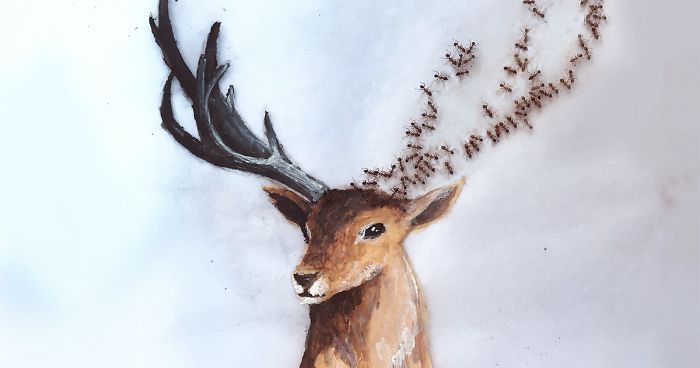 I ‘Pay’ Ants In Sugar To Help Me Finish My Animal Paintings (12 Pics)