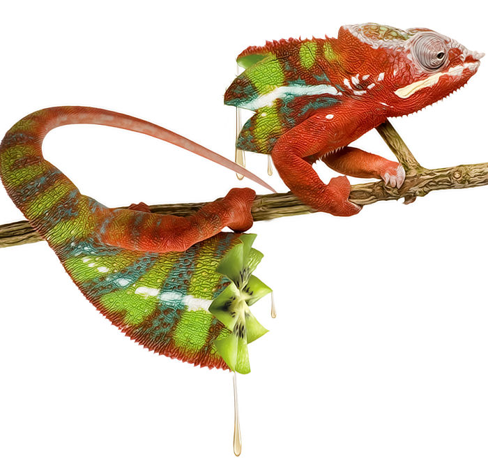 Animals Photoshopped Into Plants