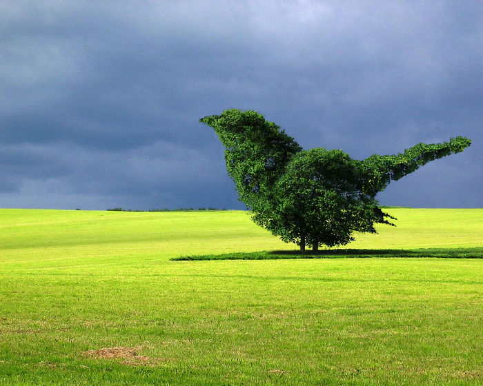 Animals Photoshopped Into Plants