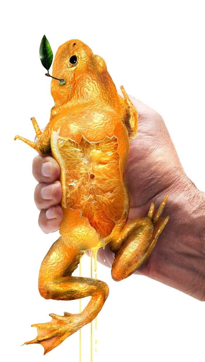 Animals Photoshopped Into Plants