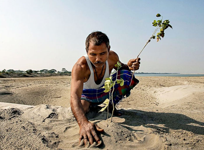 Almost 40 Years Ago A 16-Year-Old Started Planting A Tree Every Day On A Remote Island, And Now It's Unrecognizable Almost 40 Years Ago A 16-Year-Old Started Planting A Tree Every Day On A Remote Island, And Now It's Unrecognizable