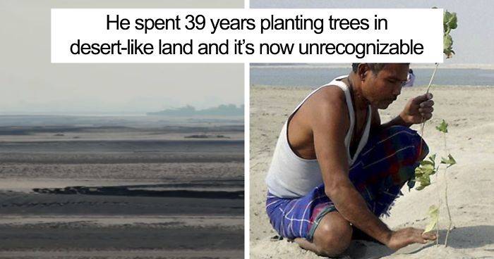 Almost 40 Years Ago A 16-Year-Old Started Planting A Tree Every Day On A Remote Island, And Now It’s Unrecognizable