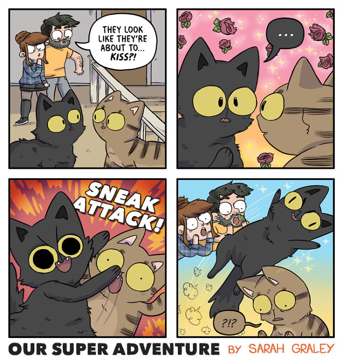 Relationship-Comics-Boyfriend-Cats-Sarah-Graley-Illustration