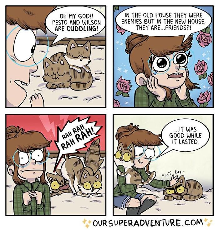 Relationship-Comics-Boyfriend-Cats-Sarah-Graley-Illustration