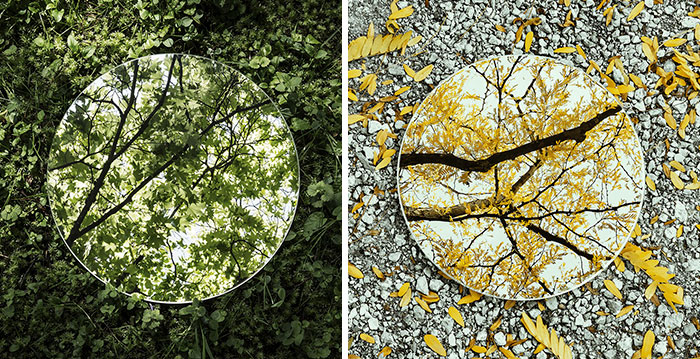 I Captured The Beauty Of Nature In Mirror Reflections