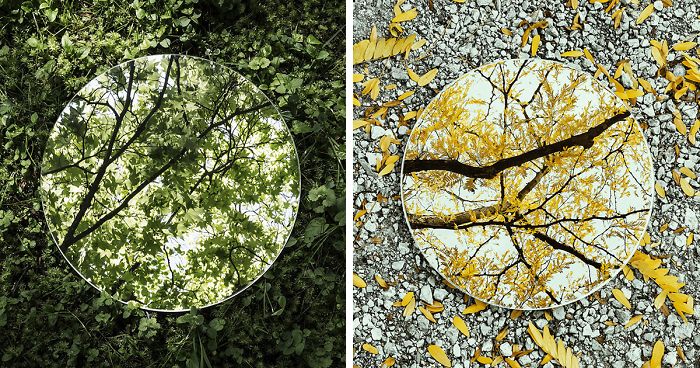 I Captured The Beauty Of Nature In Mirror Reflections