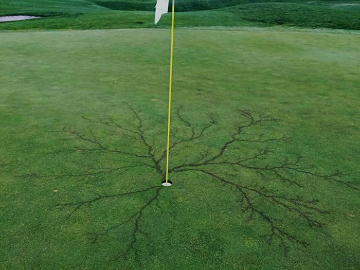 Lichtenberg scars resembling tree-like lightning patterns on a golf green around a hole with a yellow flagpole. Lichtenberg scars resembling tree-like lightning patterns on a golf green around a hole with a yellow flagpole.