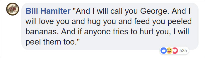 24-Year-Old Dominant Gorilla Meets A Tiny Creature In The Forest, And His Reaction Is Priceless 24-Year-Old Dominant Gorilla Meets A Tiny Creature In The Forest, And His Reaction Is Priceless