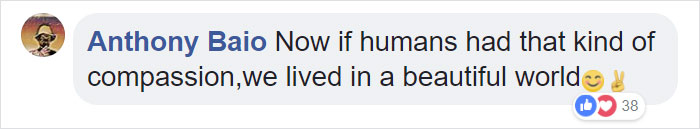 24-Year-Old Dominant Gorilla Meets A Tiny Creature In The Forest, And His Reaction Is Priceless 24-Year-Old Dominant Gorilla Meets A Tiny Creature In The Forest, And His Reaction Is Priceless