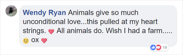 24-Year-Old Dominant Gorilla Meets A Tiny Creature In The Forest, And His Reaction Is Priceless 24-Year-Old Dominant Gorilla Meets A Tiny Creature In The Forest, And His Reaction Is Priceless