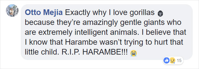 24-Year-Old Dominant Gorilla Meets A Tiny Creature In The Forest, And His Reaction Is Priceless 24-Year-Old Dominant Gorilla Meets A Tiny Creature In The Forest, And His Reaction Is Priceless