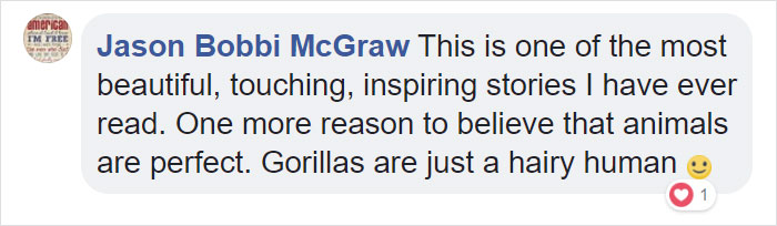 24-Year-Old Dominant Gorilla Meets A Tiny Creature In The Forest, And His Reaction Is Priceless 24-Year-Old Dominant Gorilla Meets A Tiny Creature In The Forest, And His Reaction Is Priceless