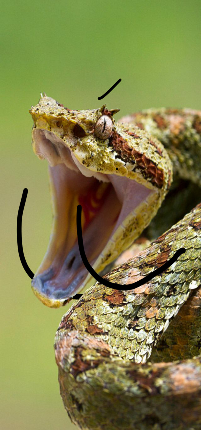 Come On, Dude! Did You Really Have To Eat My Sandwich?!