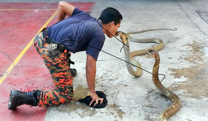 Drinks Are On Me Tonight!