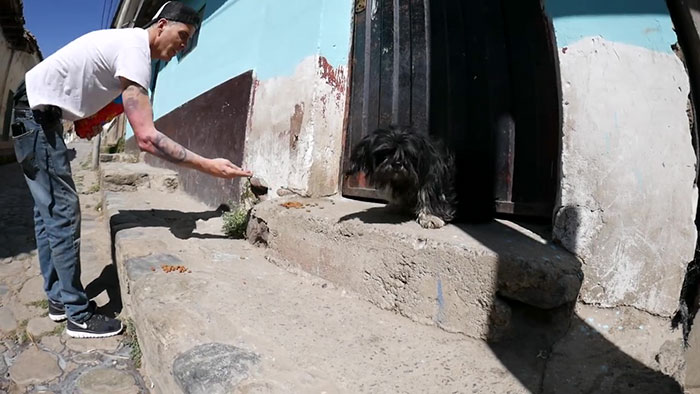 Steve-O Found A Stray Dog On The Streets Of Peru, Washed Her And They Became Best Friends