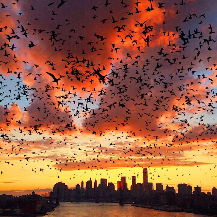 Surreal-Digital-Art-Photography-Photo-Manipulation-Robert-Jahns