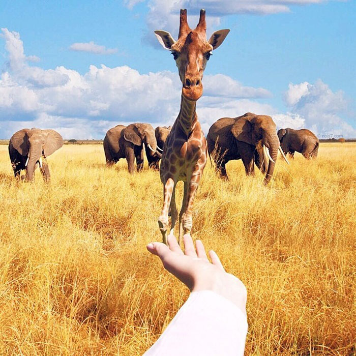 Surreal-Digital-Art-Photography-Photo-Manipulation-Robert-Jahns