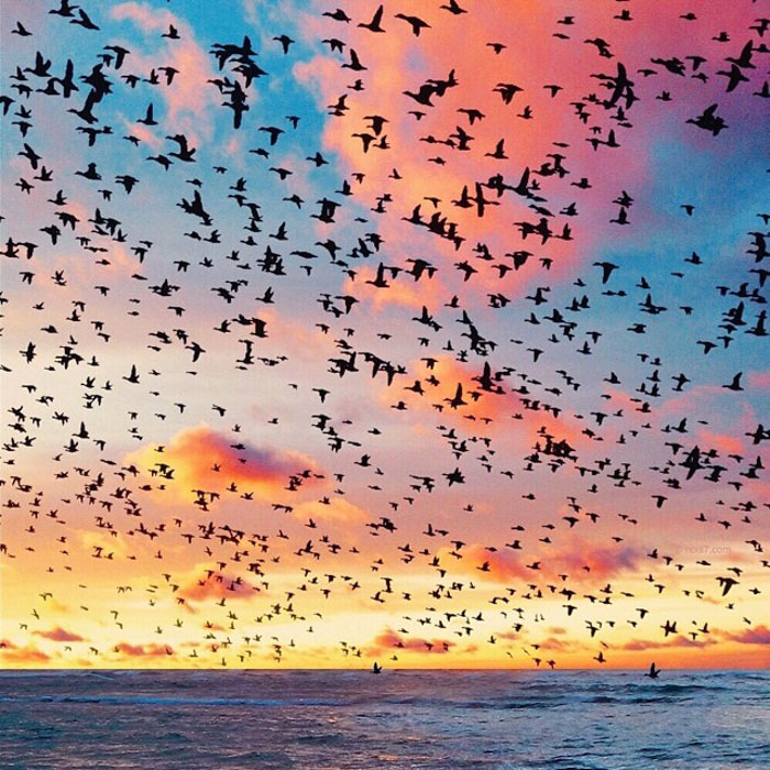 Surreal-Digital-Art-Photography-Photo-Manipulation-Robert-Jahns