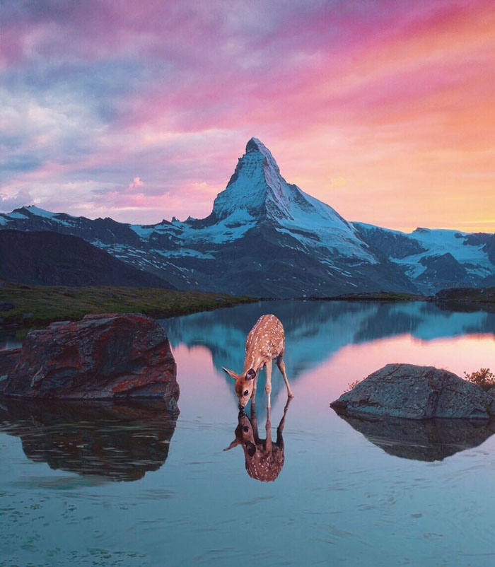 Surreal-Digital-Art-Photography-Photo-Manipulation-Robert-Jahns