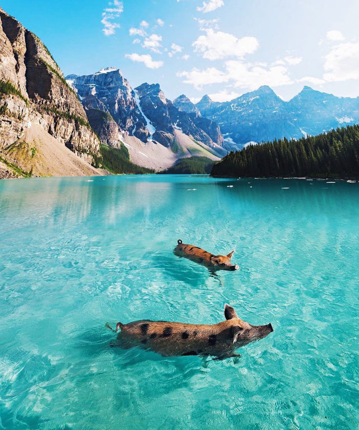 Surreal-Digital-Art-Photography-Photo-Manipulation-Robert-Jahns