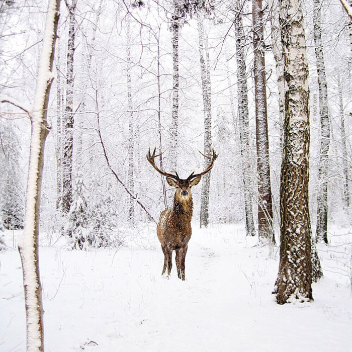 Surreal-Digital-Art-Photography-Photo-Manipulation-Robert-Jahns