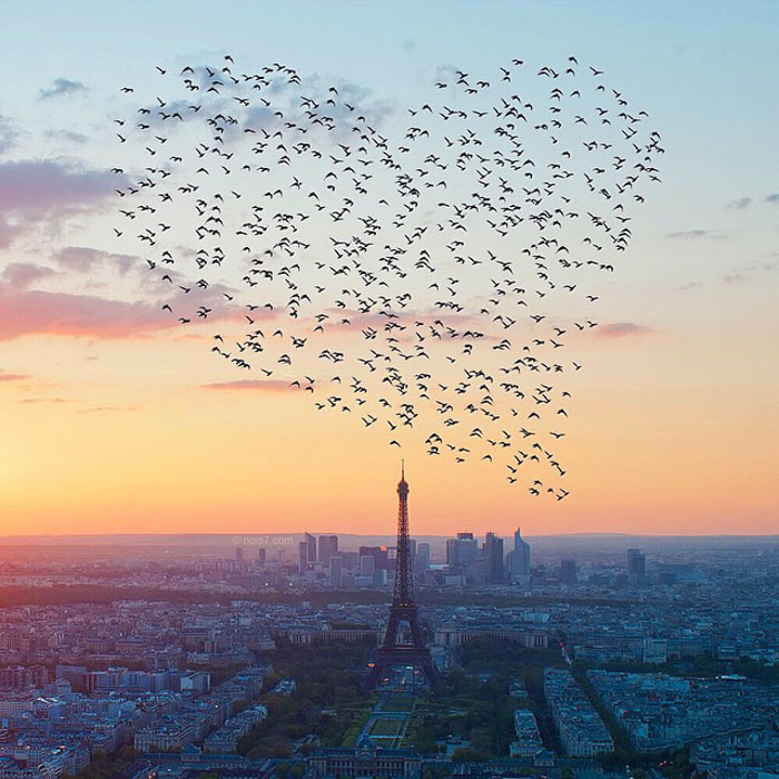 Surreal-Digital-Art-Photography-Photo-Manipulation-Robert-Jahns