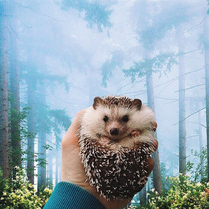 Surreal-Digital-Art-Photography-Photo-Manipulation-Robert-Jahns