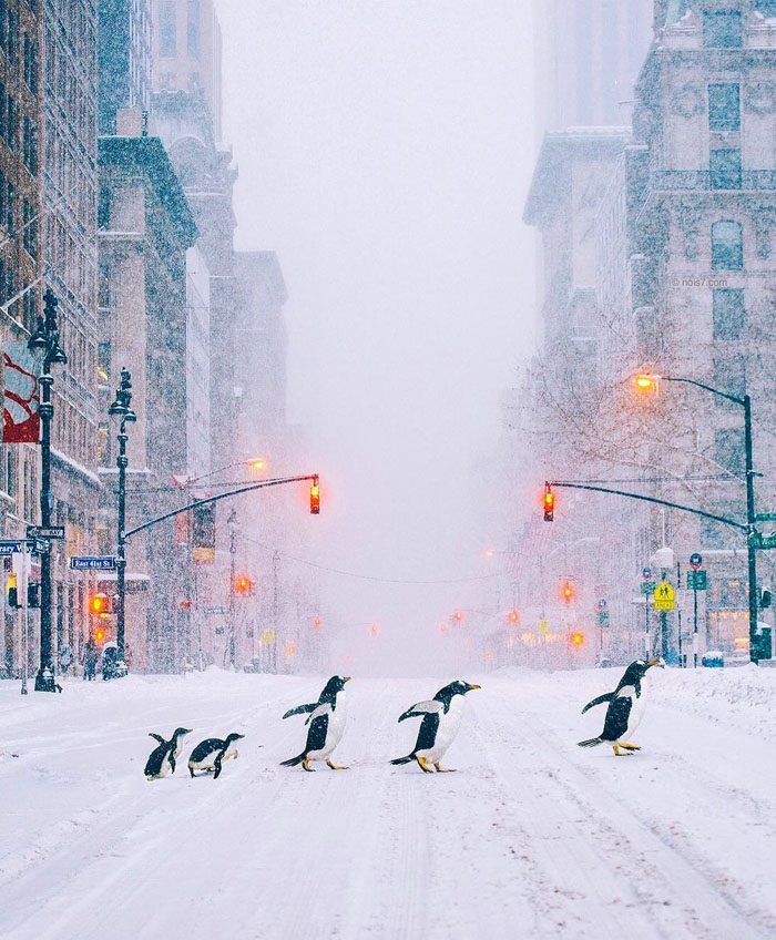 Surreal-Digital-Art-Photography-Photo-Manipulation-Robert-Jahns