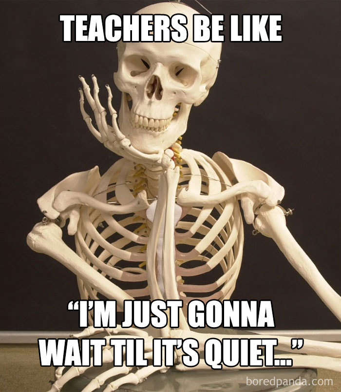 Skeleton in a humorous teacher meme, capturing the hardships educators face in managing classroom noise.