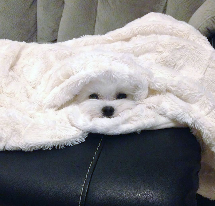 I Guess I'm A Towel Now