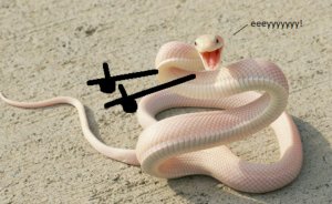 Drawing Doodle Hands On Snakes Is The Funniest Thing Ever (Add Your Pics!)