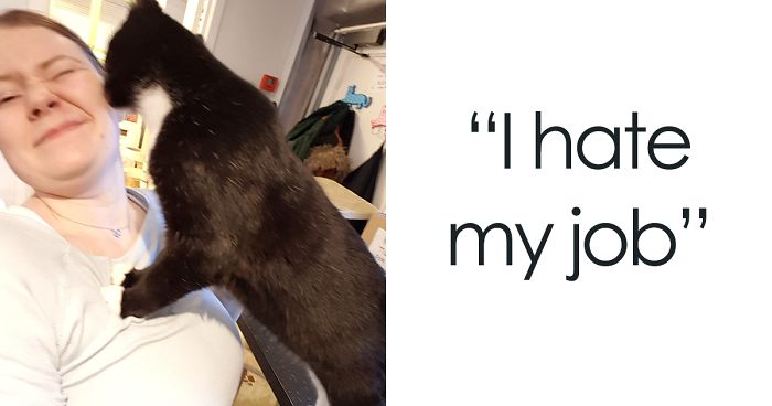 15 Reasons ‘Why I Hate My Job’