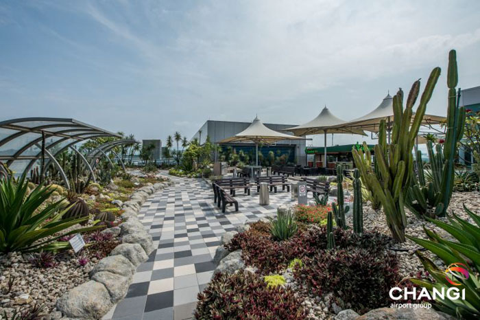 Waiting For A Plane In The World's Best Airport Is Like Visiting Disneyland