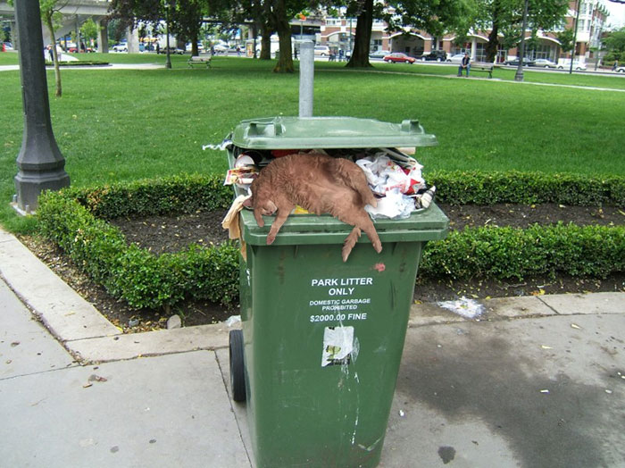 When You Wake Up In An Unknown Place After The Night Out