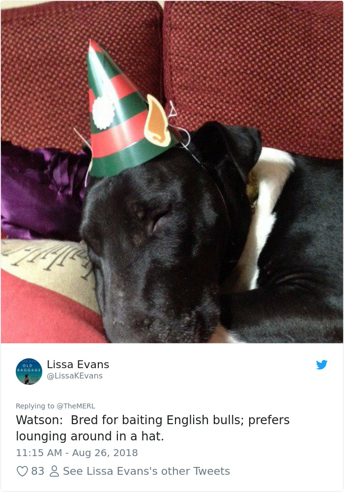 Failed-Working-Dog-Story-Twitter