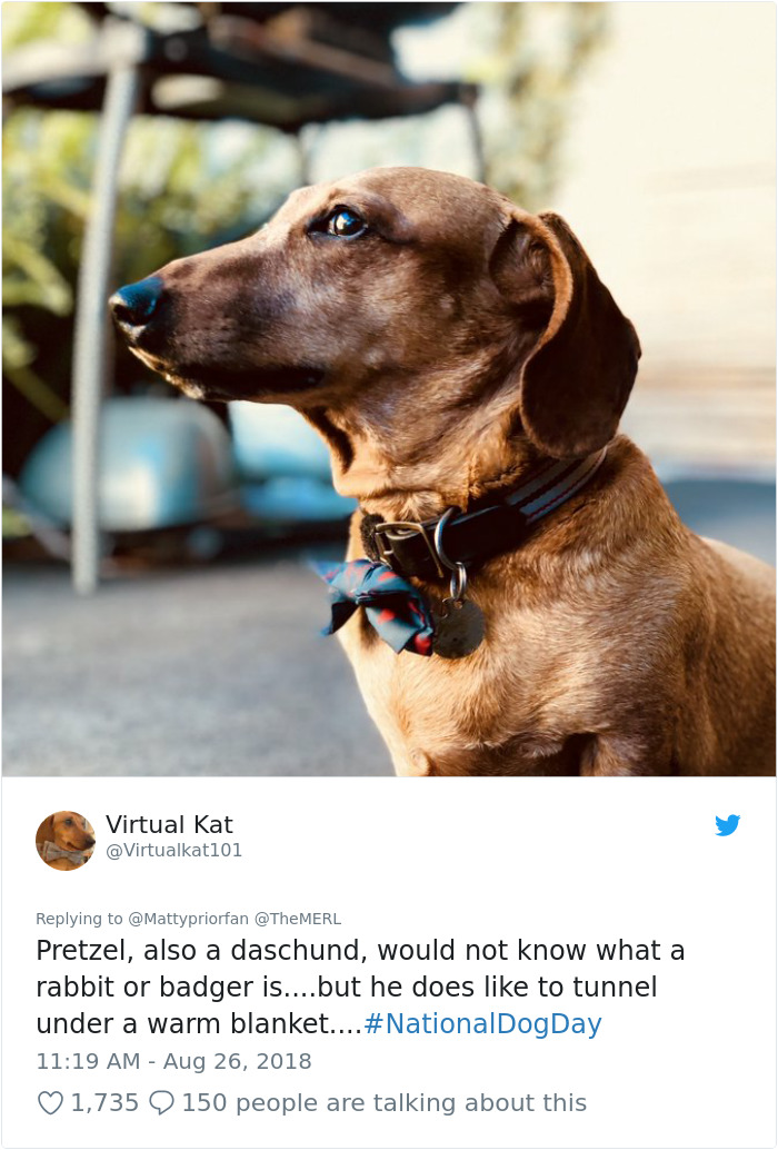 Failed-Working-Dog-Story-Twitter