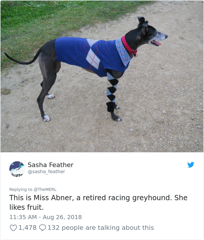 Failed-Working-Dog-Story-Twitter