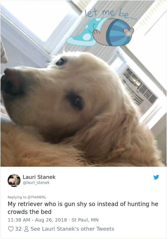 Failed-Working-Dog-Story-Twitter